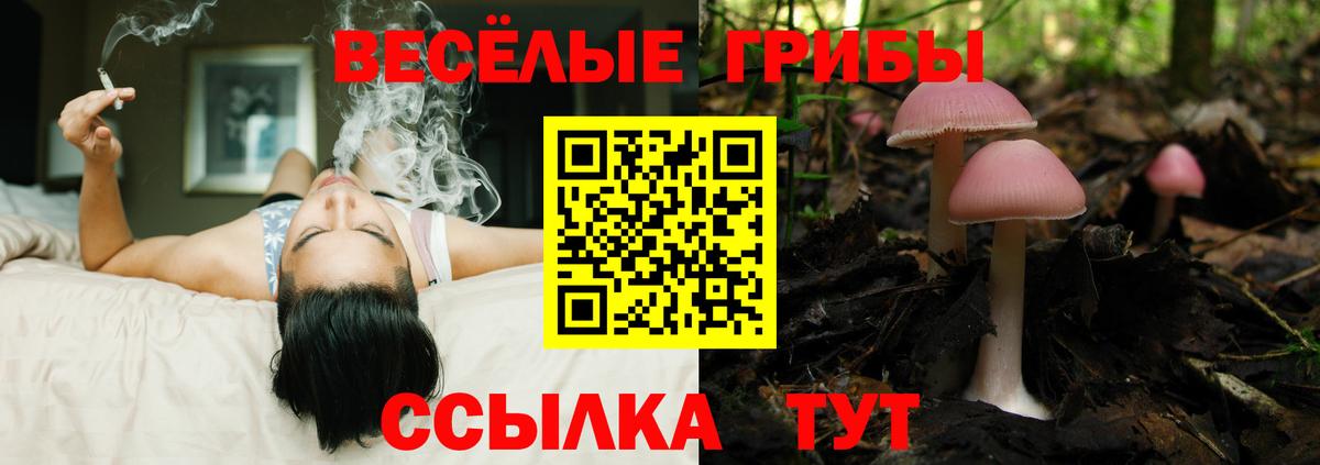 Армавир  Галлюциногенные грибы ЛСД  купить   Вход с VPN 